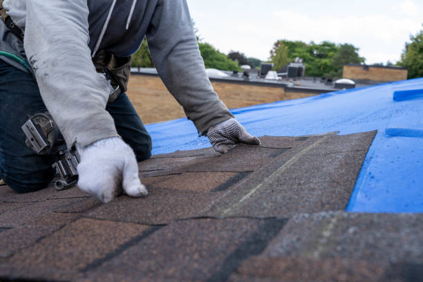 Best Gutter Installation and Roofing  in Summerfield, MD